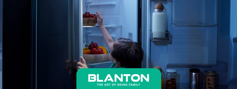 ویژگیهای یخچال فریزر دوقلو